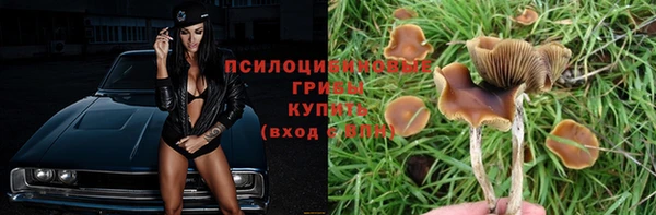 2c-b Вяземский